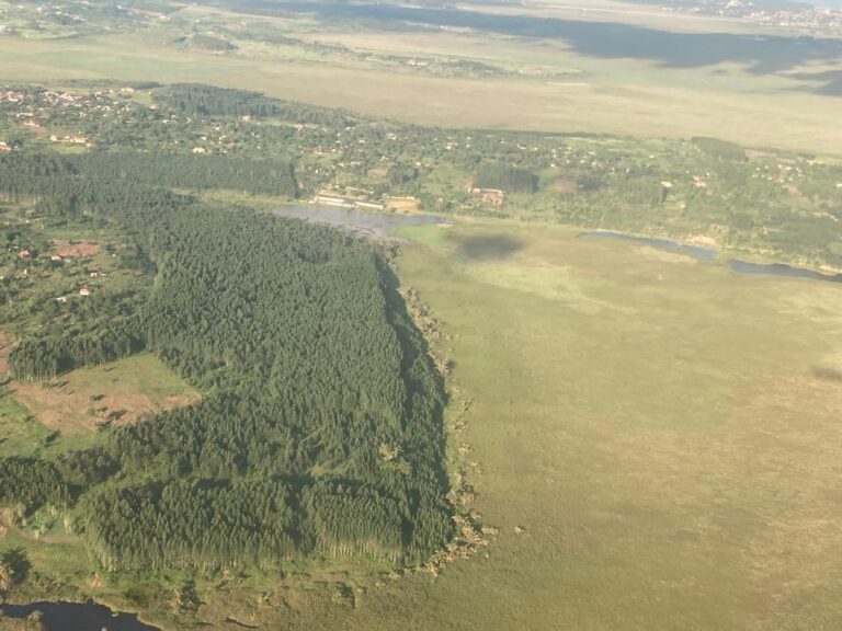 WhatsApp Image 2025-08-22 at 11.02.25 AM(5)