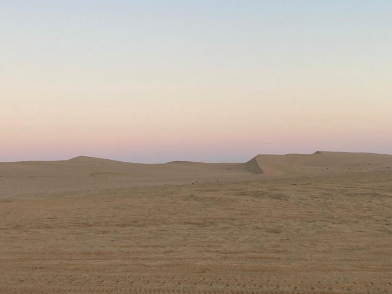 WhatsApp Image 2025-08-22 at 11.04.05 AM(1)