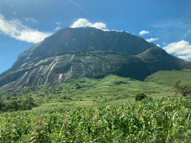 WhatsApp Image 2025-08-22 at 11.09.34 AM