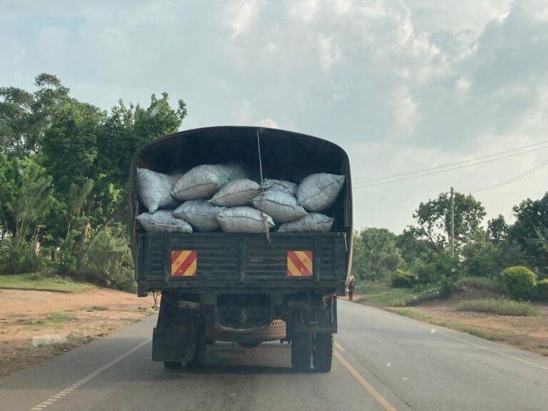 WhatsApp Image 2025-08-22 at 11.09.35 AM