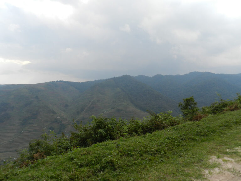 WhatsApp Image 2025-08-27 at 8.17.26 AM(2)